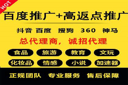 SEM代理服务：提升广告投放效果